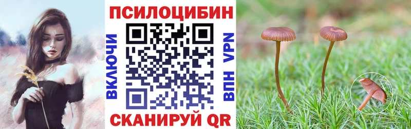 Псилоцибиновые грибы MAGIC MUSHROOMS  Карабулак 