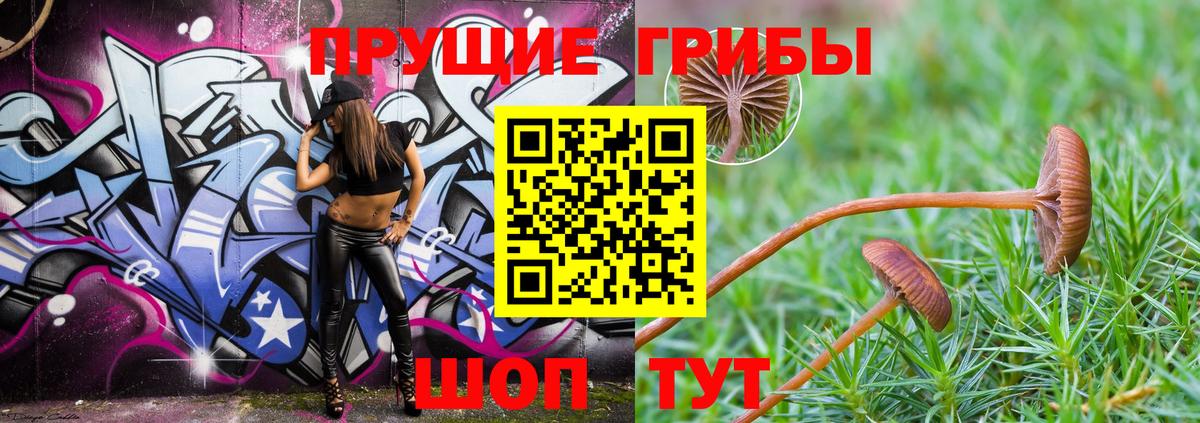 Галлюциногенные грибы мухоморы  Вход с VPN  Карабулак 