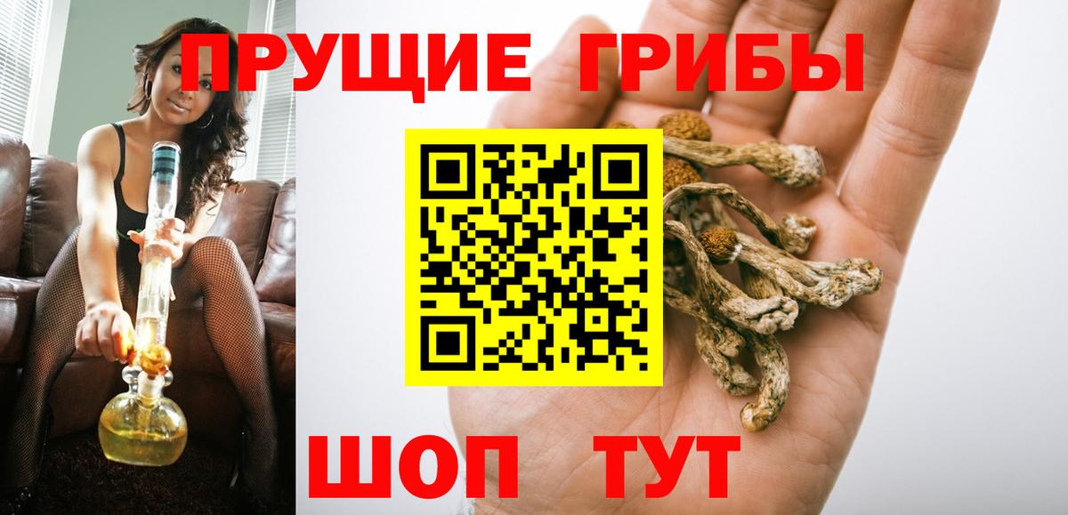 Псилоцибиновые грибы MAGIC MUSHROOMS Карабулак